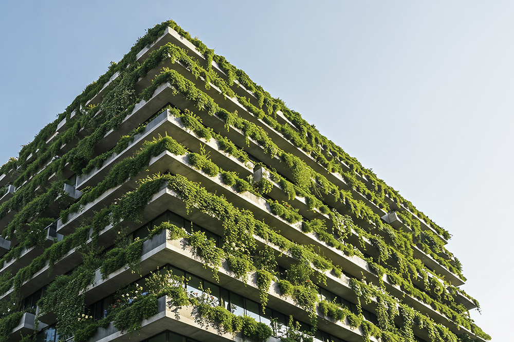 Fachada vegetal